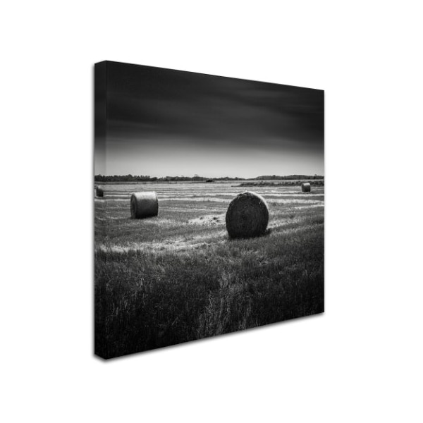 Dave MacVicar 'Rural' Canvas Art,24x24